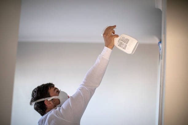 Best Office Mold Removal Services  in Arvada, CO